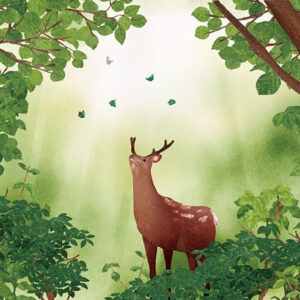 01-季節の訪れ Arrival of the Season