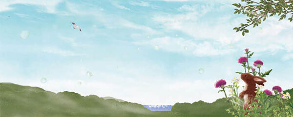03-夏草 The Summer Grasses