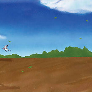 04-ととのはたけ   Daddy’s Field
