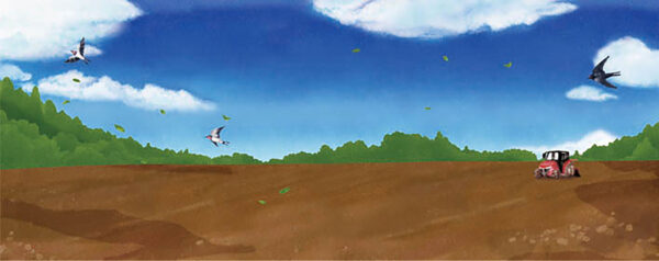 04-ととのはたけ   Daddy’s Field