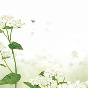 07-白い花畑 The White Flower Field