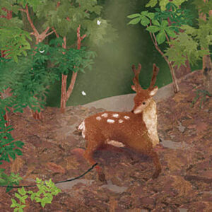 08-捕われた鹿 Deer in a Trap