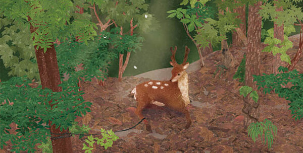 08-捕われた鹿 Deer in a Trap