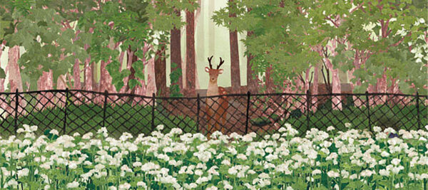 11-張られた網 The Deer Netting