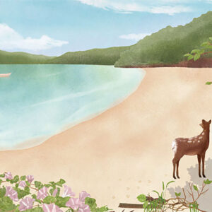 13-浜昼顔の砂浜 Sea Bell Beach