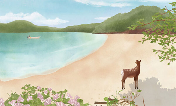 13-浜昼顔の砂浜 Sea Bell Beach
