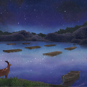 14-星空の映る海 A Sea of Reflected Stars