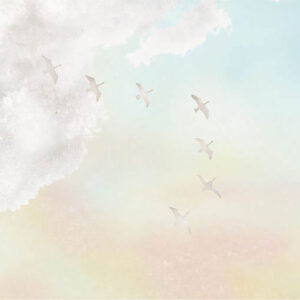 16-朝焼けを飛ぶ白鳥 Swans in the Morning Glow