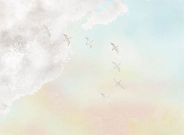 16-朝焼けを飛ぶ白鳥 Swans in the Morning Glow