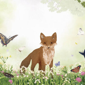 17-蝶の棲み家 Where the Butterflies Dwell