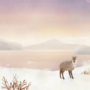21-雪野原 Field of Snow