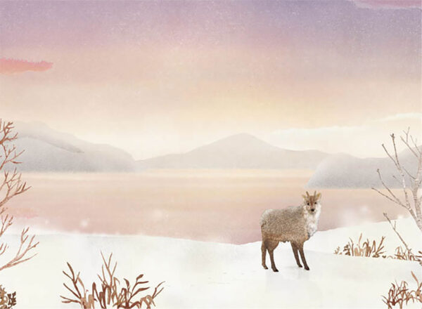 21-雪野原 Field of Snow