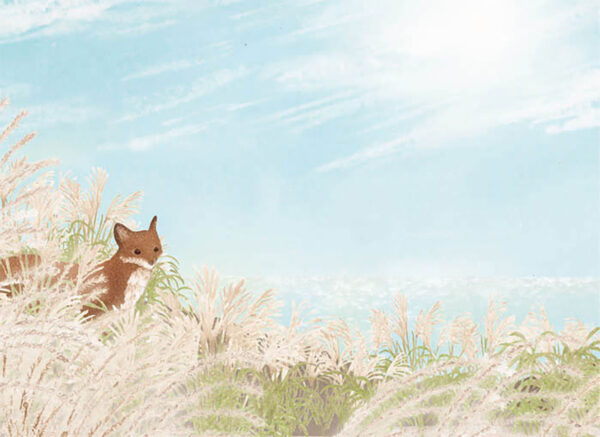 22-ススキが輝く日 The Day of Shining Silver Grass