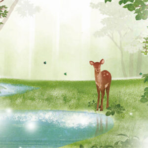 24-水辺の小鹿 Fawn by the Water's Edge