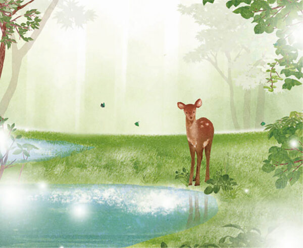24-水辺の小鹿 Fawn by the Water's Edge