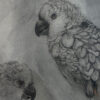 27「オウム」 - 画像 (3)