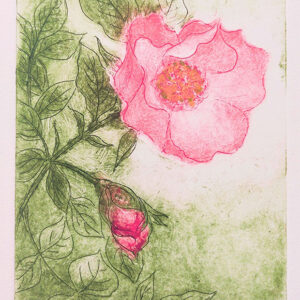 02「香りもゆれて 赤いバラ」