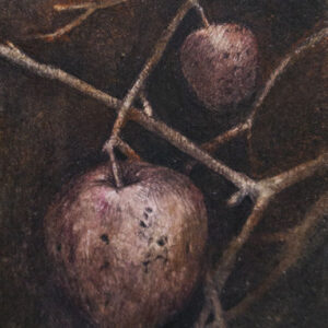 Worm Eaten—Heart－