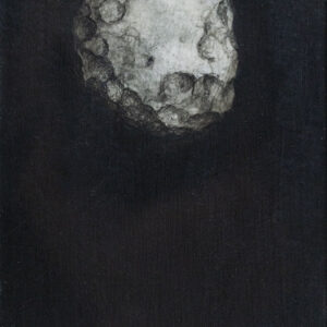 Worm Eaten—Cranium－