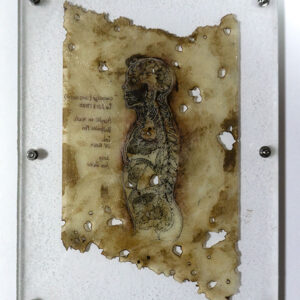 Cartridge(Cross Section)