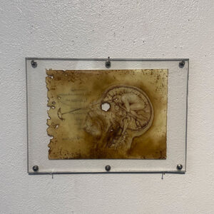 Cartridge(Contrasication)