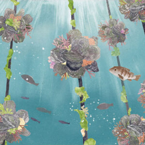 牡蠣の森 Oyster Forest