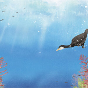 ウミウの探検 The Cormorant Explores the Sea
