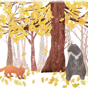 イチョウの下で  Under the Ginkgo Tree