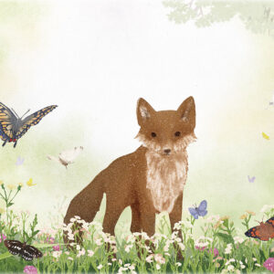 蝶の棲み家 Where the Butterflies Dwell