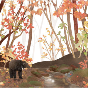 ある秋の日 One Day in Autumn