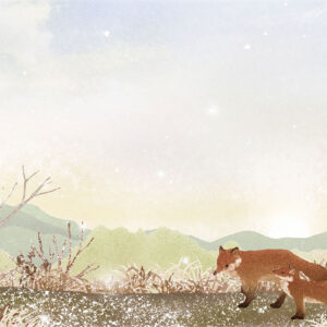 冬の朝焼け Winter Dawn