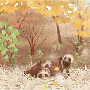 やわらかな秋の午後 A Soft Autumn Afternoon