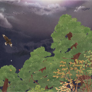 朧月夜に飛ぶ Flying Through a Moonlit Night
