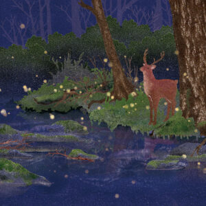 蛍 Fireflies