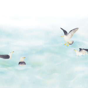 遊ぶウミネコ The Black-Tailed Gulls at Play