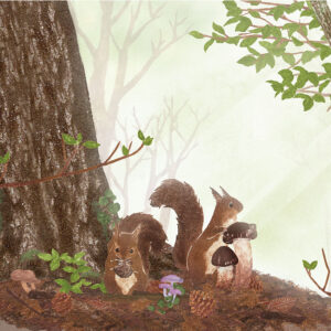 きのこの森 The Mushroom Woods